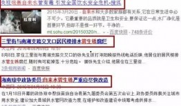 玉环最新爆料新闻报道,揭秘事件背后惊人真相